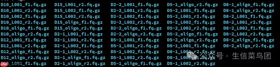 DeepSeek助力快速生成DNBC4tools所需样本对应信息