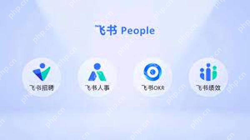 飞书妙记转写专业术语错误 如何导入自定义词库？ - 游乐网