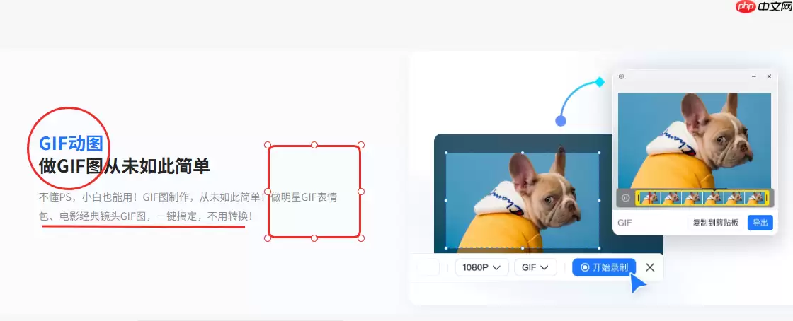 小旺AI截图1.2.0版本更新：新增多项实用功能