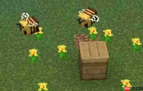 我的世界养殖蜜蜂方法