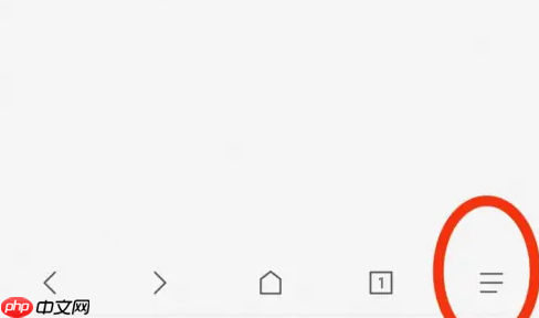 via浏览器如何禁用js via浏览器禁用js方法