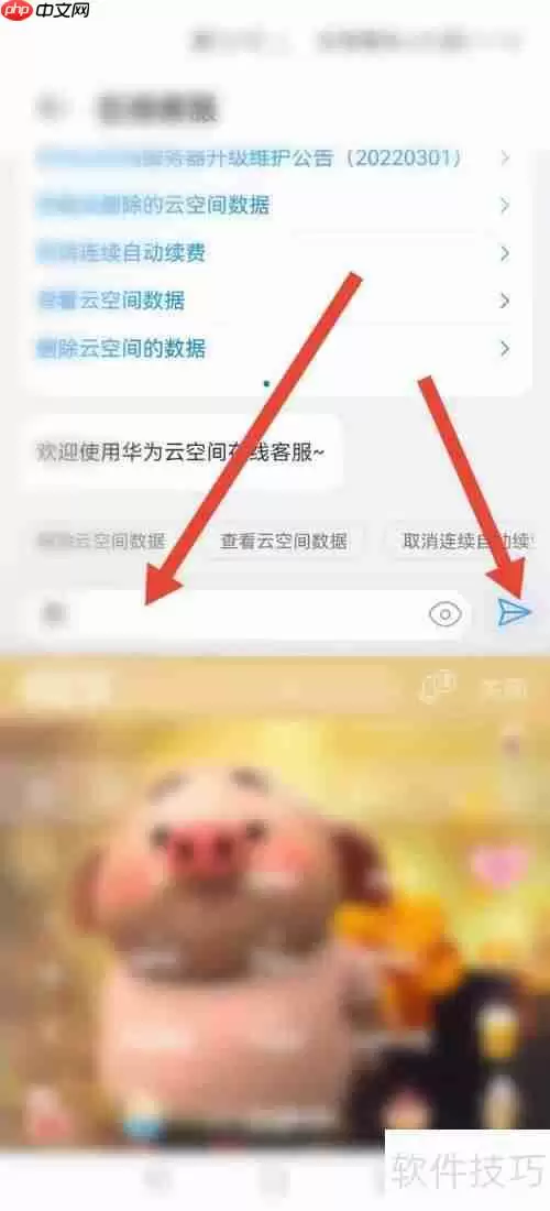 云空间在线客服联系方式汇总