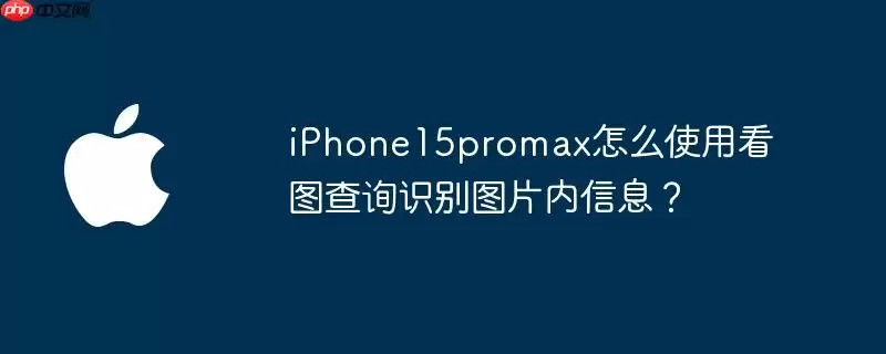 iphone15promax怎么使用看图查询识别图片内信息?