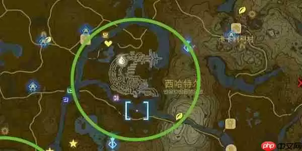 王国之泪大师剑怎么拿