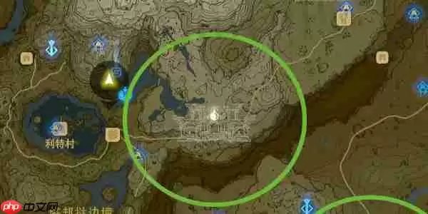 王国之泪大师剑怎么拿