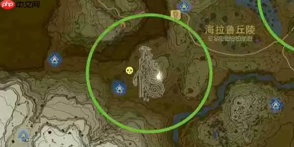 王国之泪大师剑怎么拿