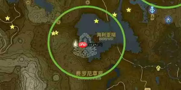 王国之泪大师剑怎么拿