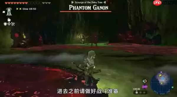 王国之泪大师剑怎么拿