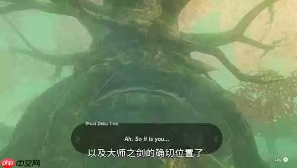 王国之泪大师剑怎么拿