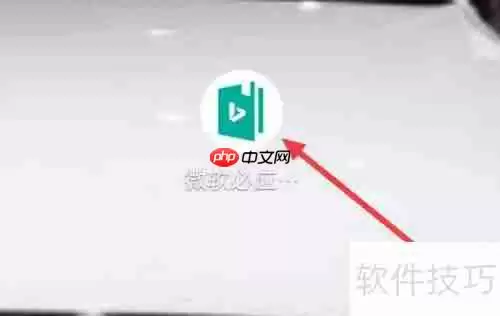 微软必应词典切换中文模式的方法