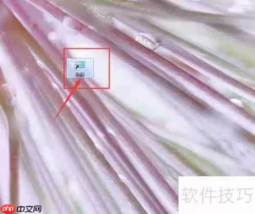 Super Auto Pets游戏攻略:快速上手与进阶技巧