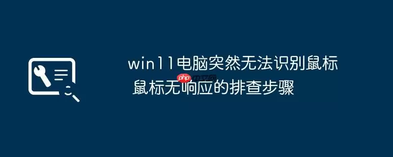 win11电脑突然无法识别鼠标 鼠标无响应的排查步骤