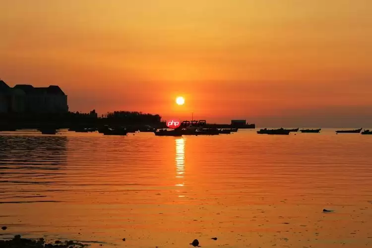 三星手机Recovery模式怎么进入？双清操作全解析