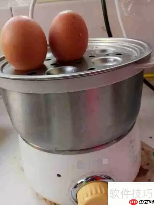 蒸蛋器的多功能用法：不只是蒸蛋这么简单