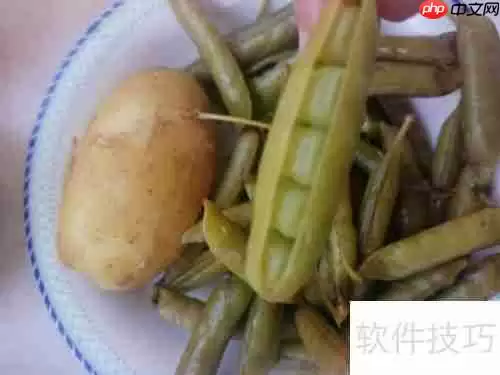 蒸蛋器的多功能用法：不只是蒸蛋这么简单