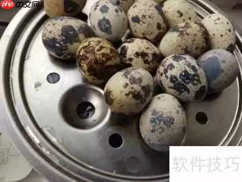 蒸蛋器的多功能用法：不只是蒸蛋这么简单