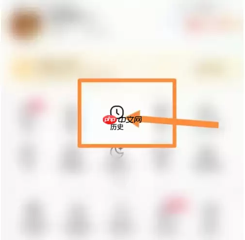 vivo浏览器怎么恢复以前的浏览记录 vivo浏览器恢复历史记录方法