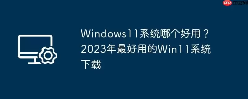 windows11系统哪个好用？2023年最好用的win11系统下载