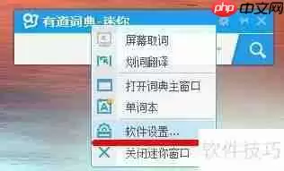 有道词典设置在哪找?25字内短标题