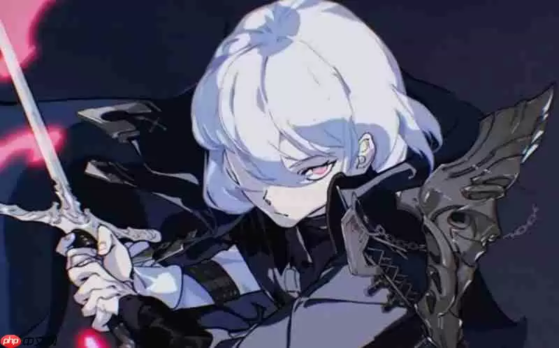 银与绯是哪个公司开发的 银与绯开发商详细介绍