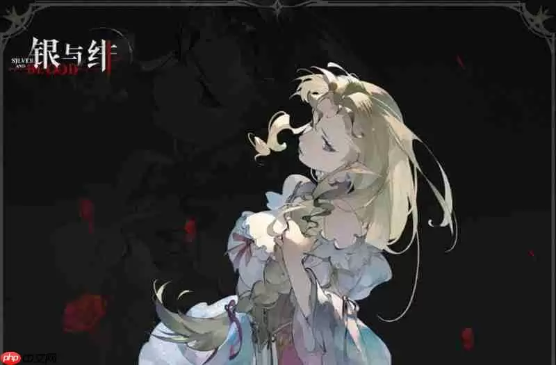 银与绯是哪个公司开发的 银与绯开发商详细介绍