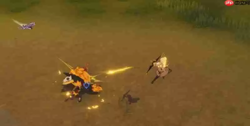 星痕共鸣射手有什么技能 射手职业特点详细介绍