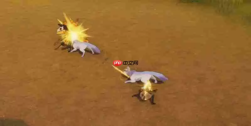 星痕共鸣射手有什么技能 射手职业特点详细介绍