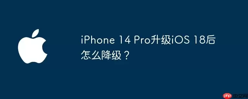 iphone 14 pro升级ios 18后怎么降级?
