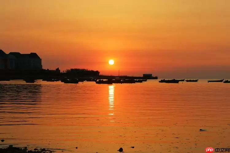 三星手机Root后怎么恢复？解除权限步骤指南