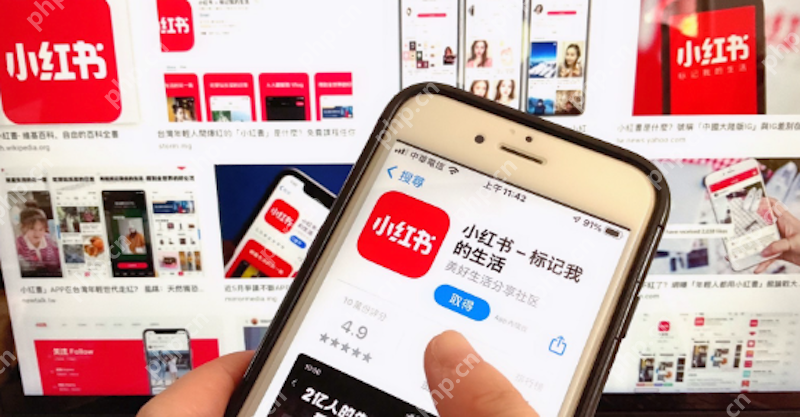 小红书APP字体显示异常 怎么调整系统设置？ - 游乐网