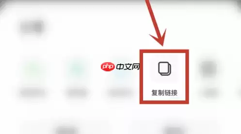 夸克云盘怎么复制链接 夸克复制个人链接方法介绍