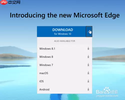 edge怎么更新 edge更新方法