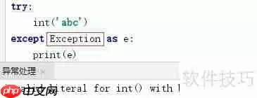 Python异常处理：try与断言assert的使用