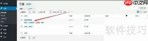 WordPress发表与删除博文教程