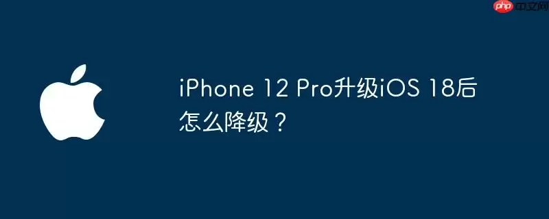 iphone 12 pro升级ios 18后怎么降级?