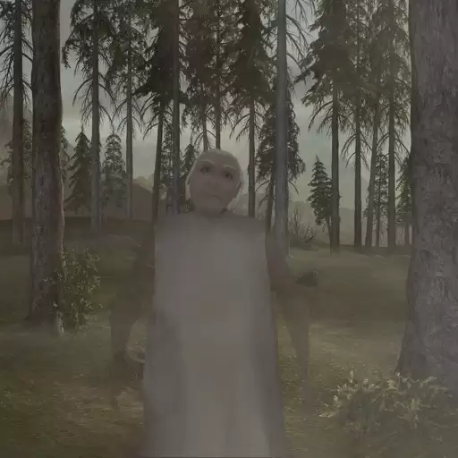 恐怖奶奶迷雾内置菜单