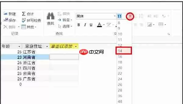 access2013怎么更改字体？access2013更改字体的操作步骤