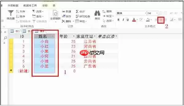 access2013怎么更改字体？access2013更改字体的操作步骤