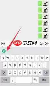微信键盘打字看不到字是怎么回事