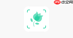 形色app如何识别植物