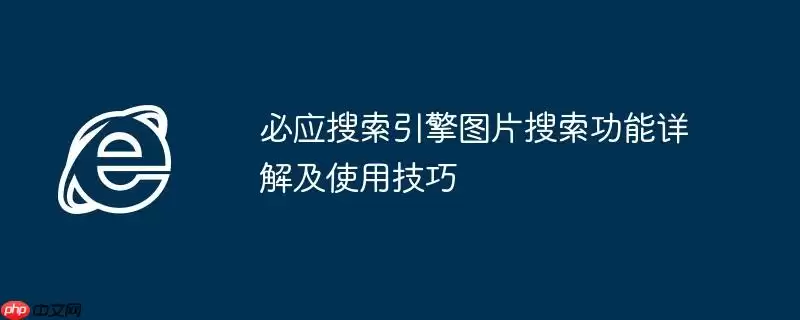 必应搜索引擎图片搜索功能详解及使用技巧
