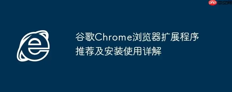 谷歌Chrome浏览器扩展程序推荐及安装使用详解