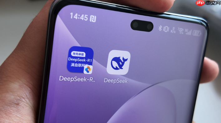 豆包AI满血升级:DeepSeek接入后的首选项优化建议
