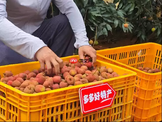 拼多多发布Q1财报,加速推进“千亿扶持”新战略,先商家后平台扶持产业生态