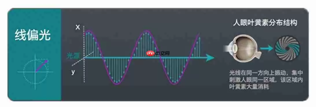 黑科技降临!飞利浦EVNIA舒视蓝4.0圆偏光护眼显示器全球首秀!