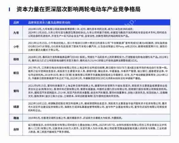 鲁大师2024年两轮电动车行业调研报告