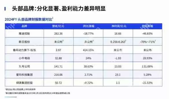 鲁大师2024年两轮电动车行业调研报告