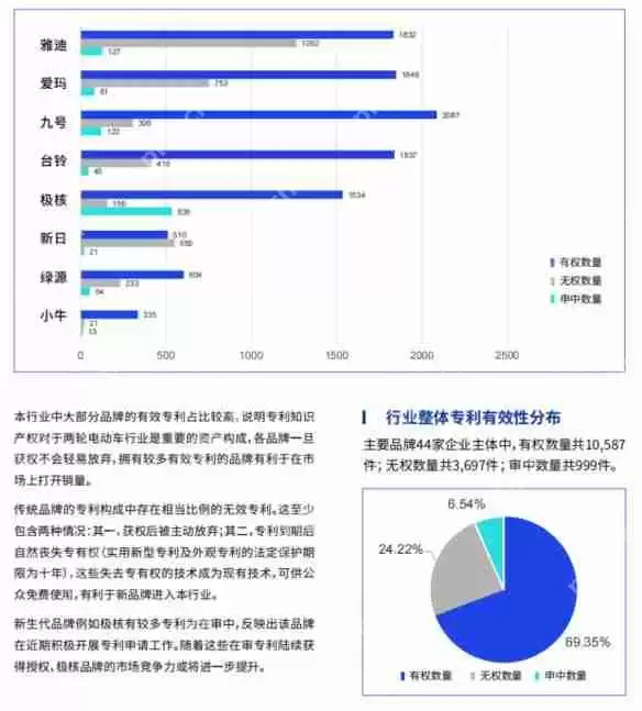 鲁大师2024年两轮电动车行业调研报告