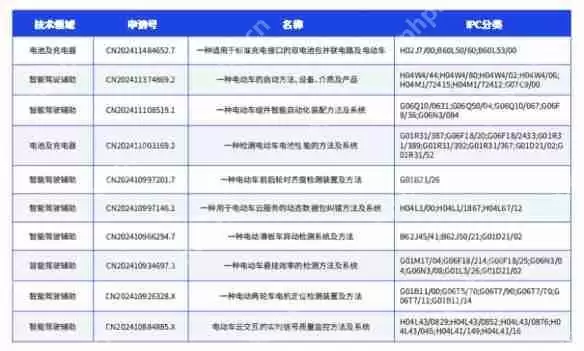 鲁大师2024年两轮电动车行业调研报告