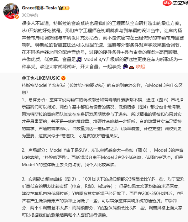 陶琳：特斯拉音响系统采用全自研设计 还有神秘黑科技